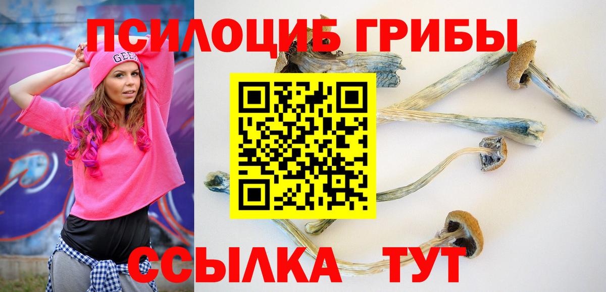 Псилоцибиновые грибы мицелий  Вход с VPN  Алушта 